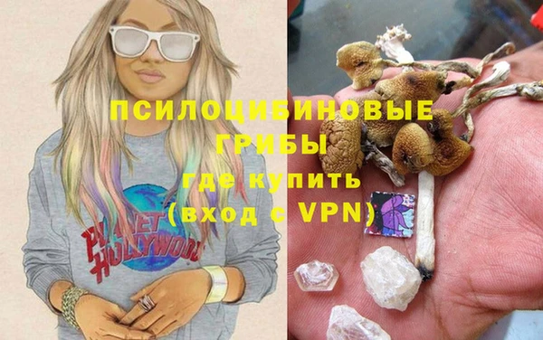 не бодяженный Верхний Тагил