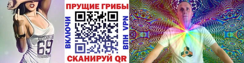 Псилоцибиновые грибы Magic Shrooms  Краснокаменск 
