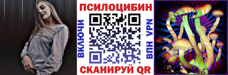 Псилоцибиновые грибы Psilocybine cubensis Краснокаменск