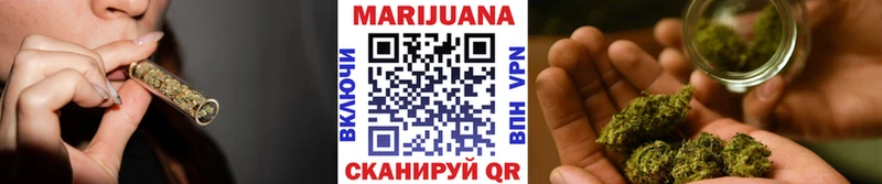 Каннабис сатива Краснокаменск